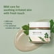 thumbnail image 2 of Crema calmante de artemisa ROUND LAB de 80 ml con madecasósido, 2 of 7