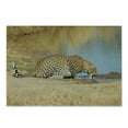 thumbnail image 1 of Safari Cutting Board, Leopard Panther Drinking at Waterhole Wild South Animal Documentary Print, Decorative Tempered Glass Cutting and Serving Board, Small Size, Pale Brown, by Ambesonne, 1 of 1