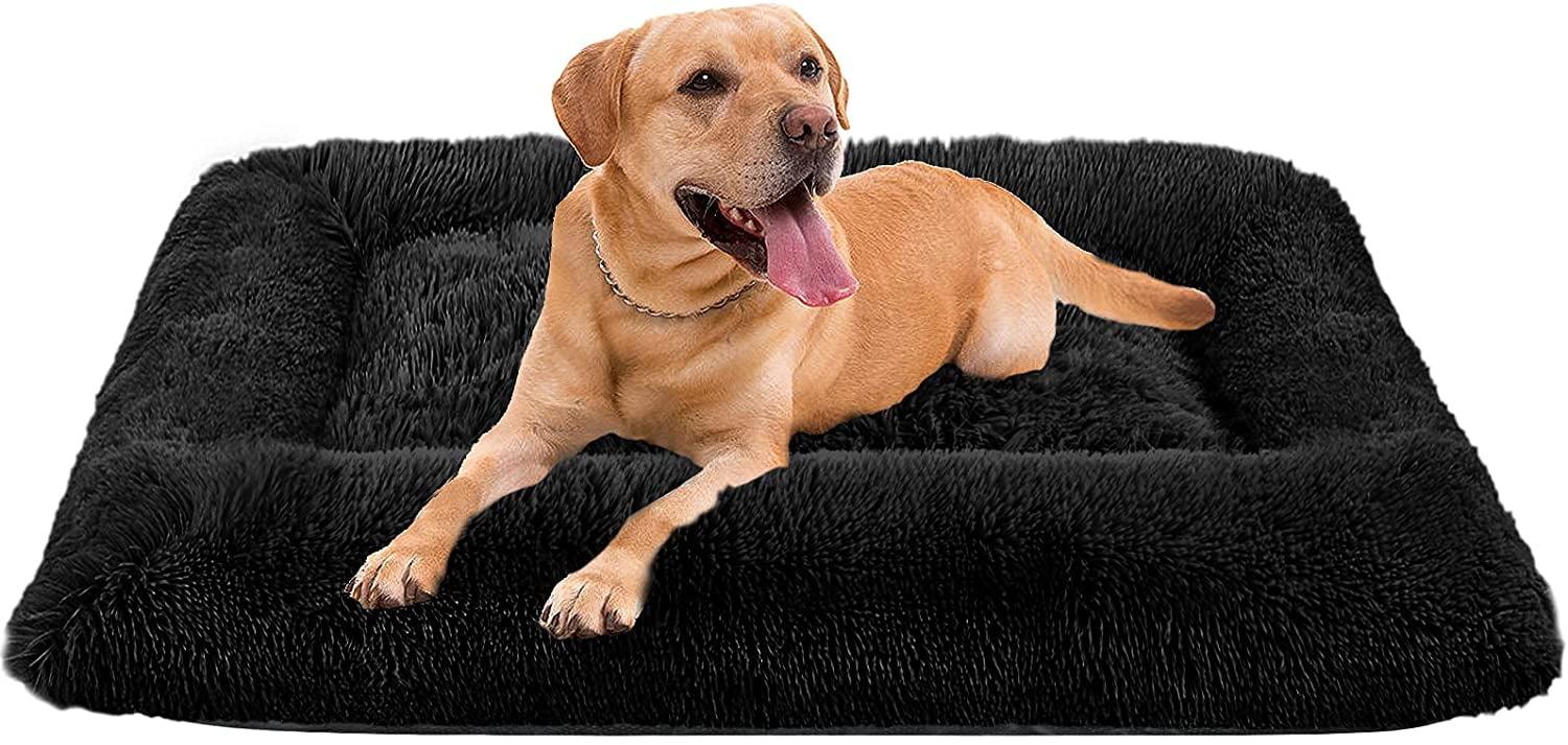 cheap dog beds medium