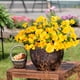 thumbnail image 4 of Eoozwa 3 Packs Artificial Flowers 7-Head Bouquet Realistic Silk Floral Stems for Home Decor Wedding Centerpieces and Outdoor Garden Photography Props Long-Lasting Spring Collection, 4 of 6