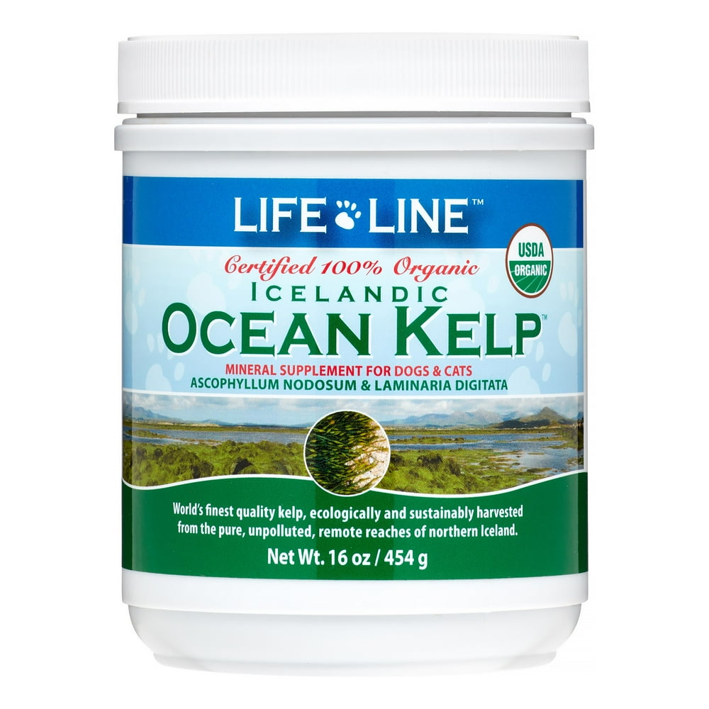 Life Line Ocean Kelp Dog & Cat Supplement, 16 Oz