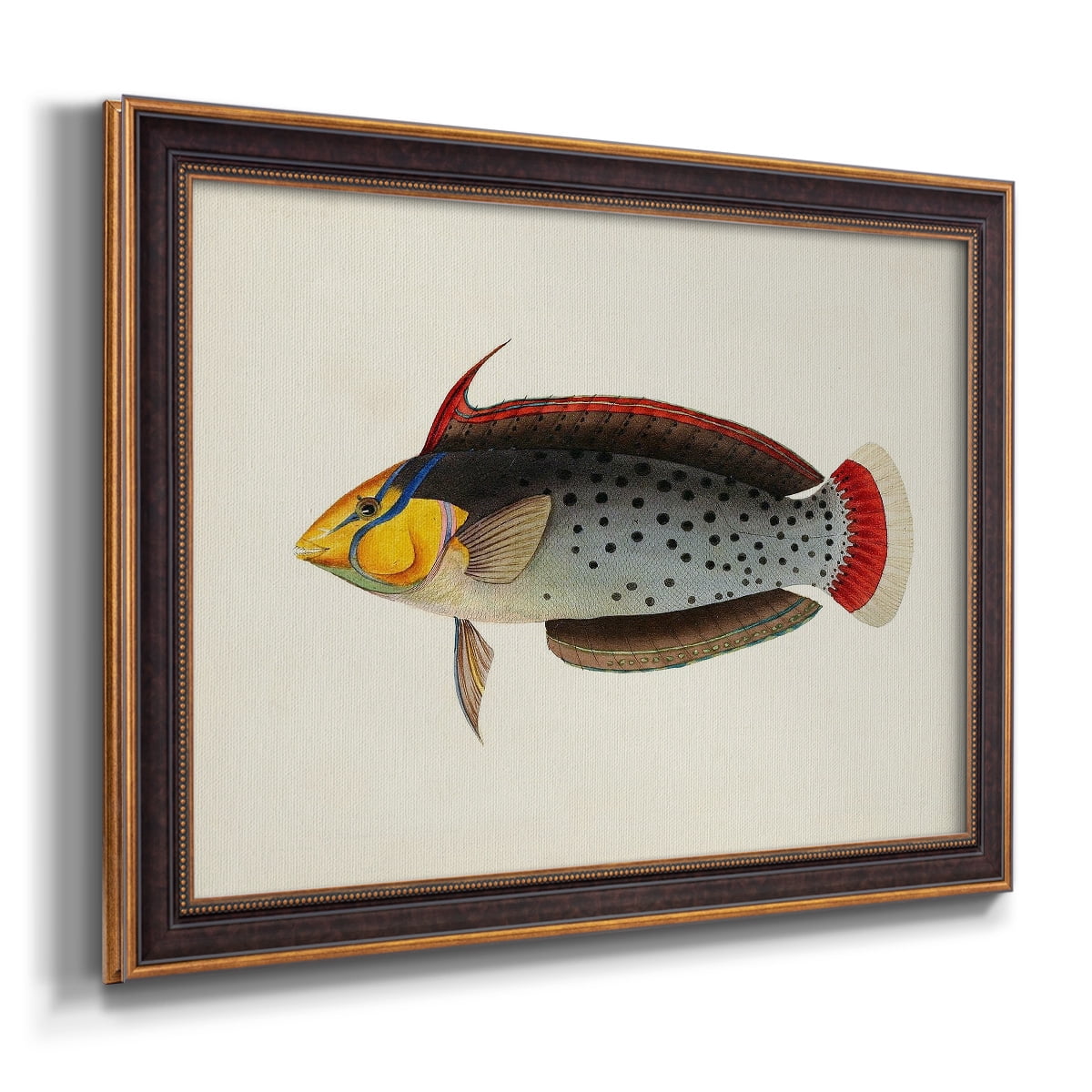 Tropical Fish Collection IV Premium Framed Canvas- Ready to Hang