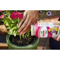 thumbnail image 5 of Osmocote Smart-Release Plant Food Plus Outdoor & Indoor, 1 lb., 5 of 5
