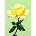 thumbnail image 2 of Segrest, Jane 25x32 Gold Ornate Wood Framed with Double Matting Museum Art Print Titled - Yellow Rose, 2 of 4