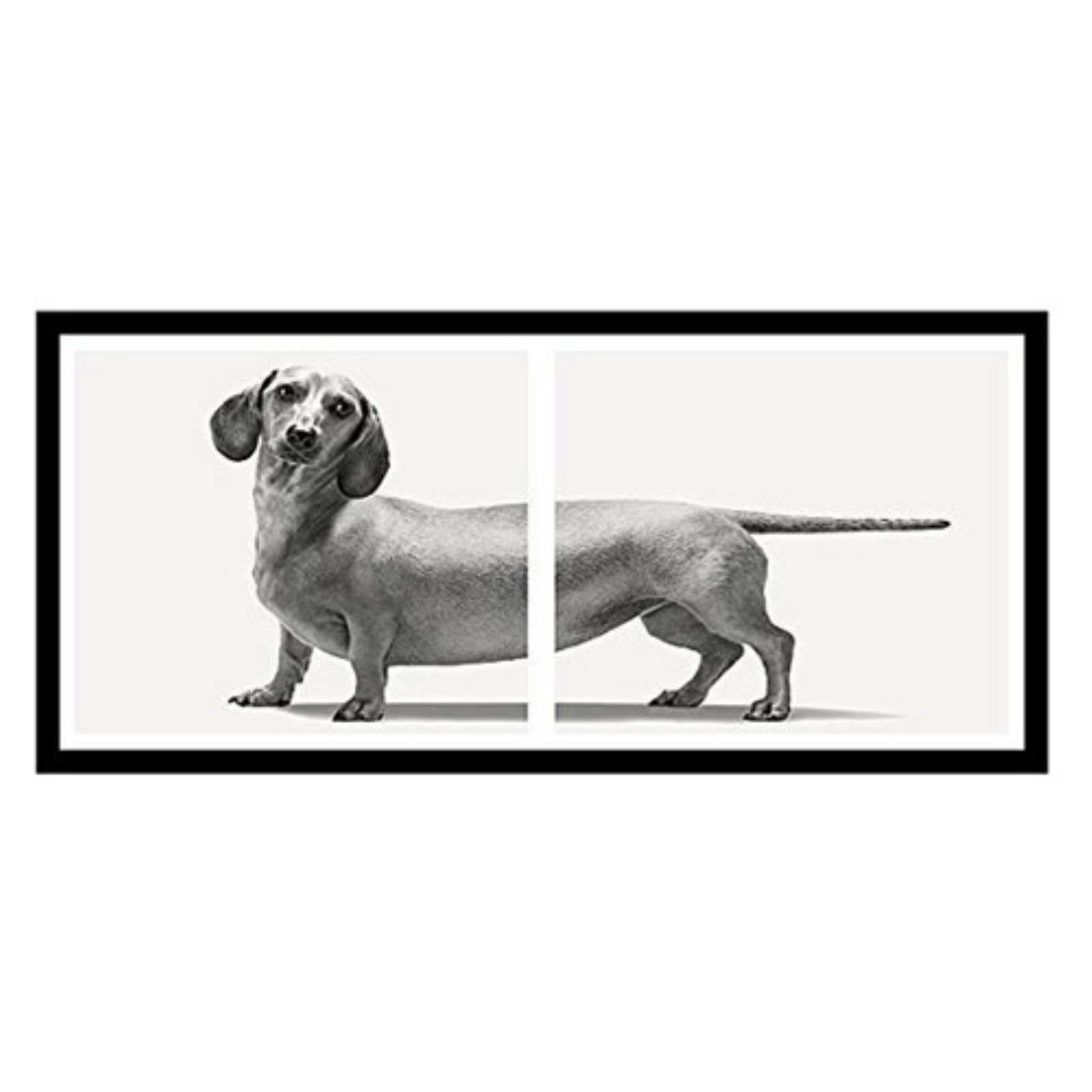 BuyArtForLess Dachshund Framed Wall Art by Jon Bertelli