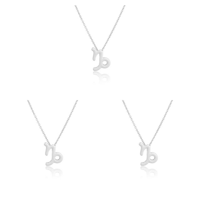 Qarigey Collar del zodiaco Regalo de amigos Cómodo Ins Superficie lisa duradera Accesorio de moda ligero Capricornio Plata Type1 NO1