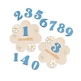 thumbnail image 4 of HILABEE Baby Monthly Milestone Cards Sign Gift Keepsake Memories Unique Double Sided Blue, 4 of 9