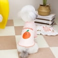 thumbnail image 2 of Adorable Pet Clothes for Cats & Small Dogs - Charming Spring & Autumn Wear Cat Clothes Teddy Pet Clothes, 2 of 5
