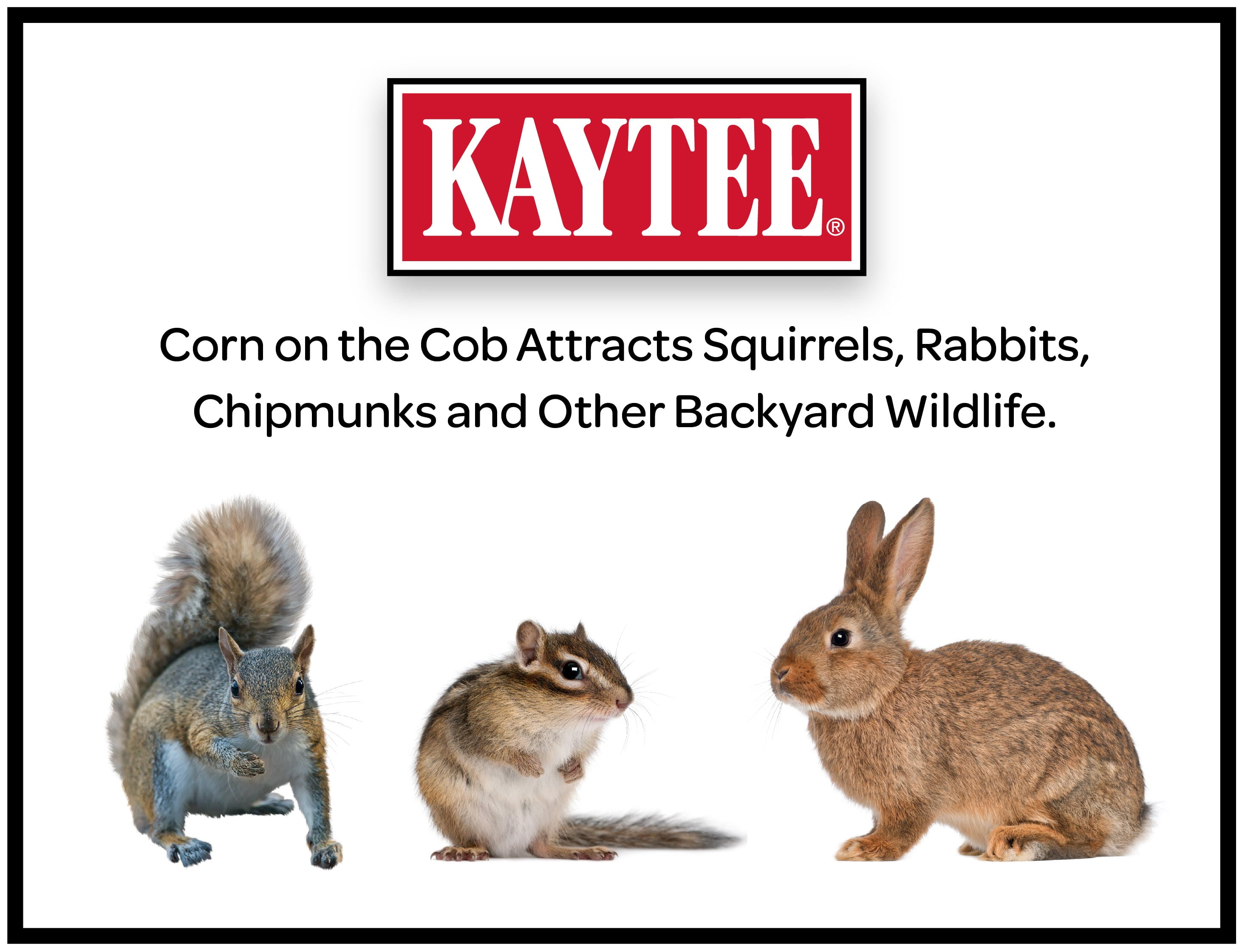 Kaytee Corn on the Cob, Squirrel and Critter Feed, 6.5 lb. Bag, Dry, 1 Pack