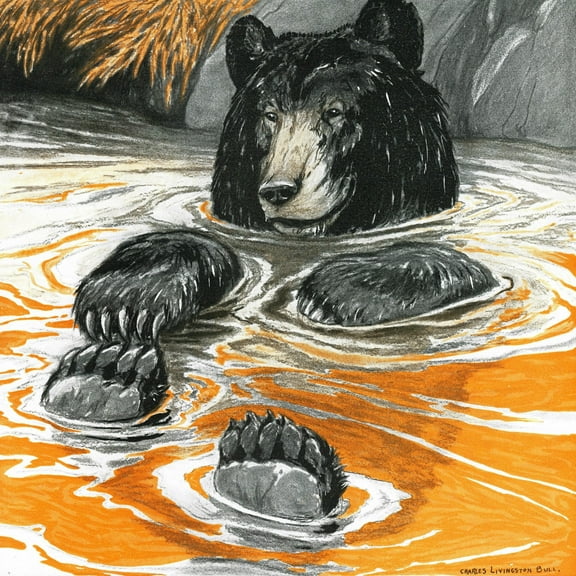 "Cool Bear" Painting Print on Wrapped Canvas