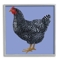Striped Farm Chicken Over Purple Smiling Bird Animals & Insects Framed Art Print Wall Art, 17x17