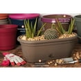 thumbnail image 2 of Bloem Lucca Self-Watering Plastic Window Box Planter (Set of 6), 2 of 3