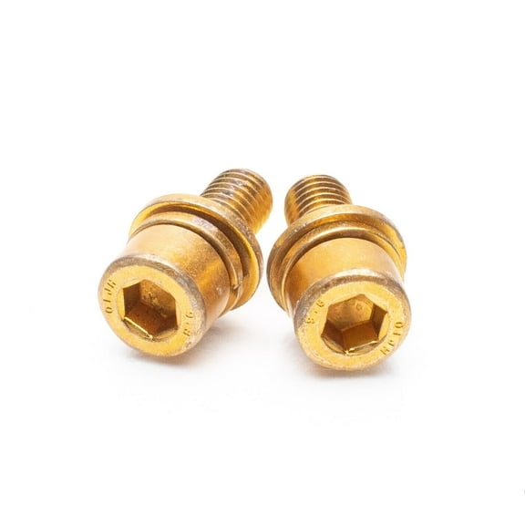 Polaris Sportsman Ranger RZR 700 800 Fuel Injector Rail Bolts (PAIR) - 7516730