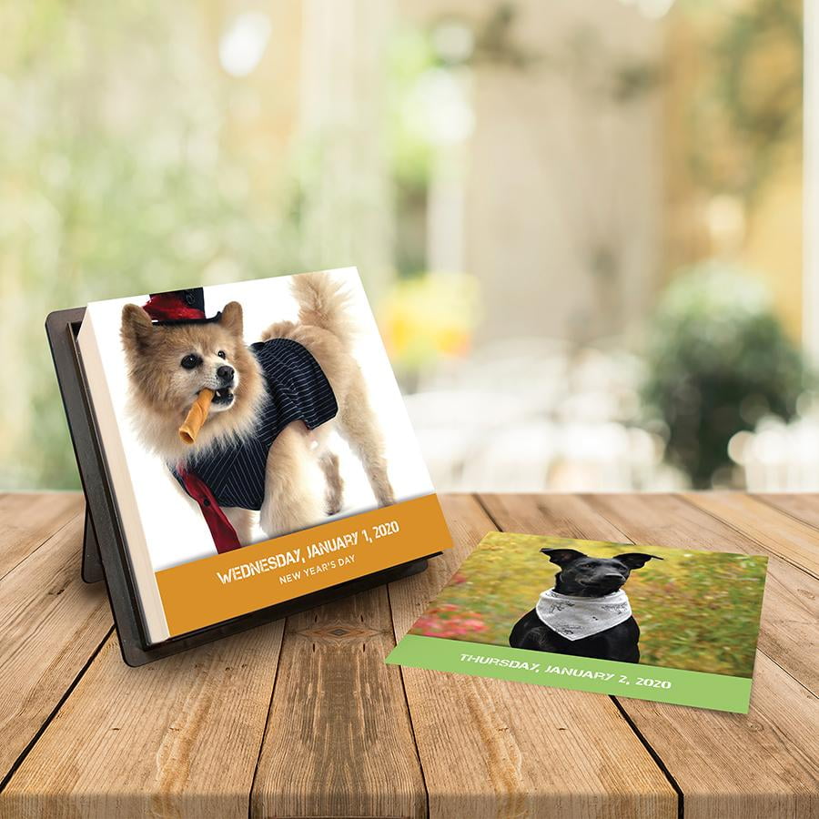 Photo 1 of 2020 Dogstagram Daily Desktop Calendar
