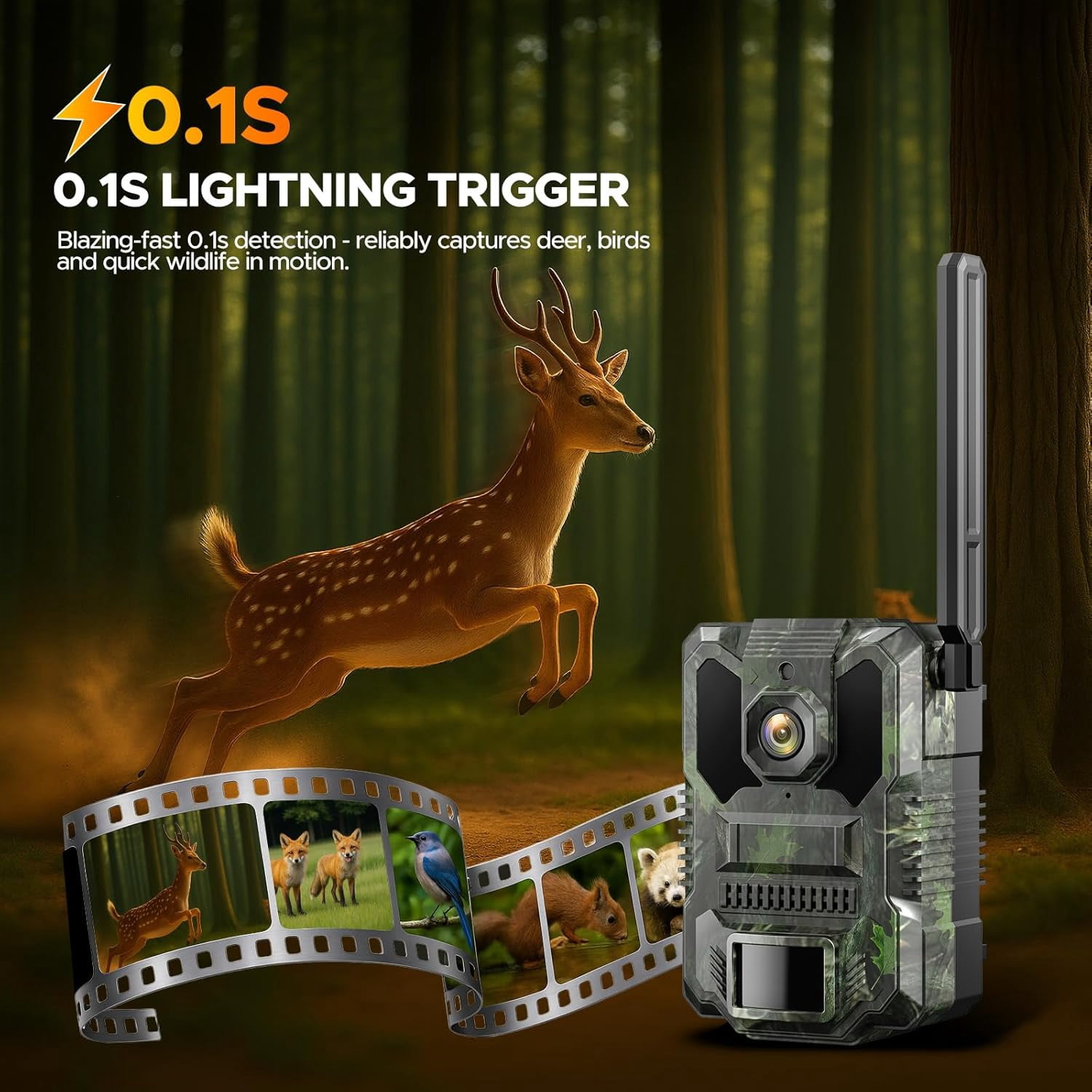CAMPARK Cellular Trail Camera, 2.5k Live Streaming Solar Powered Game Deer Cameras with Night Vision Motion Activated, Waterproof IP66 Built-in SIM Card, No WiFi Needed for Hunting