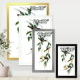 thumbnail image 4 of Designart 'Ancient Bird III' Traditional Framed Art Print, 4 of 4
