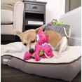 thumbnail image 4 of Dragon de Peluche GoDog Rosado con Tecnología de Protección para Masticar Pequeño, 4 of 7