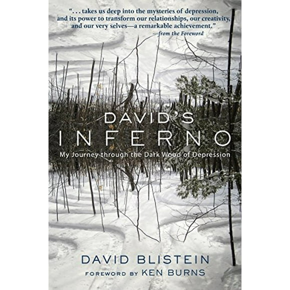 David's Inferno: My Journey Through the Dark Wood of Depression
