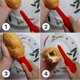 thumbnail image 3 of Bread Drill Drilling Barbecue and Microwave Oven Tools, Baking Supplies, Making Hamburger Hot Dog Ba, 3 of 5