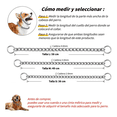 thumbnail image 2 of 2 Cadenas De Castigo De Acero Para Entrenamiento, Talla M Xtellar multicolor, 2 of 4