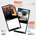 thumbnail image 2 of Selfies de chat 2026 Carré, 2 of 3