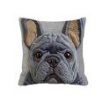 thumbnail image 2 of ddioayh Throw Pillow Cover Animal Print Soft Machine Washable 45x45cm for Sofa Chair Bedroom Home Decor Spring Easter Pet Theme Decorative Gift Idea, 2 of 6