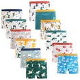 thumbnail image 1 of Calzoncillos bóxer de algodón para niños JackLoveBriefs con diseño de dinosaurio de 7 a 9 años, 1 of 6