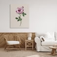 thumbnail image 3 of Stupell Industries Eclectic Pink Jewel Rose Canvas Art, 30 x 40, by Sally Swatland, 3 of 7