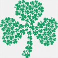 thumbnail image 3 of CafePress - Shamrock Of Shamrocks - Kids Hooded Sweatshirt, Classic Hoodie, 3 of 4