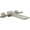 Lumicoat Stainless, variant on Delta T5799 Brass Lumicoat Chrome Pivotal Double Handle Wall Mounted Tub Filler Trim 3 Piece