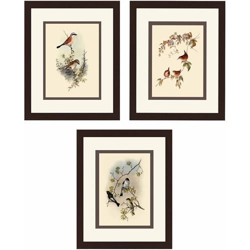 Birds Botanical Wall Art, Set of 3