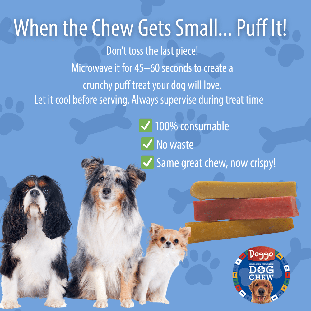 Doggo Dog Chew Natural Strawberry Flavor Yak Chews for Dogs, Long-Lasting, Large, 1 Pound, 5 Pieces