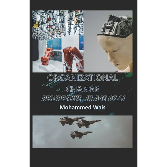 Organizational Change Perspectives in Age of AI (Paperback)