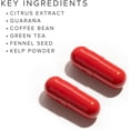 thumbnail image 4 of Zantrex Red Body Recomposition Pill - Energy, Focus, Weight Loss, Thermogenic Fat Burning, 4 of 7