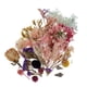 thumbnail image 5 of Combinación de flores secas naturales DIY Flor prensada decorativa para resina, joyería, manualidades, para uñas, 5 of 9
