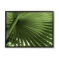 thumbnail image 2 of Stupell Industries Close Up Palm Leaf Lush Green Tropical Plant Photograph Gray Framed Art Print Wall Art, Design by Graffitee Studios, 2 of 5