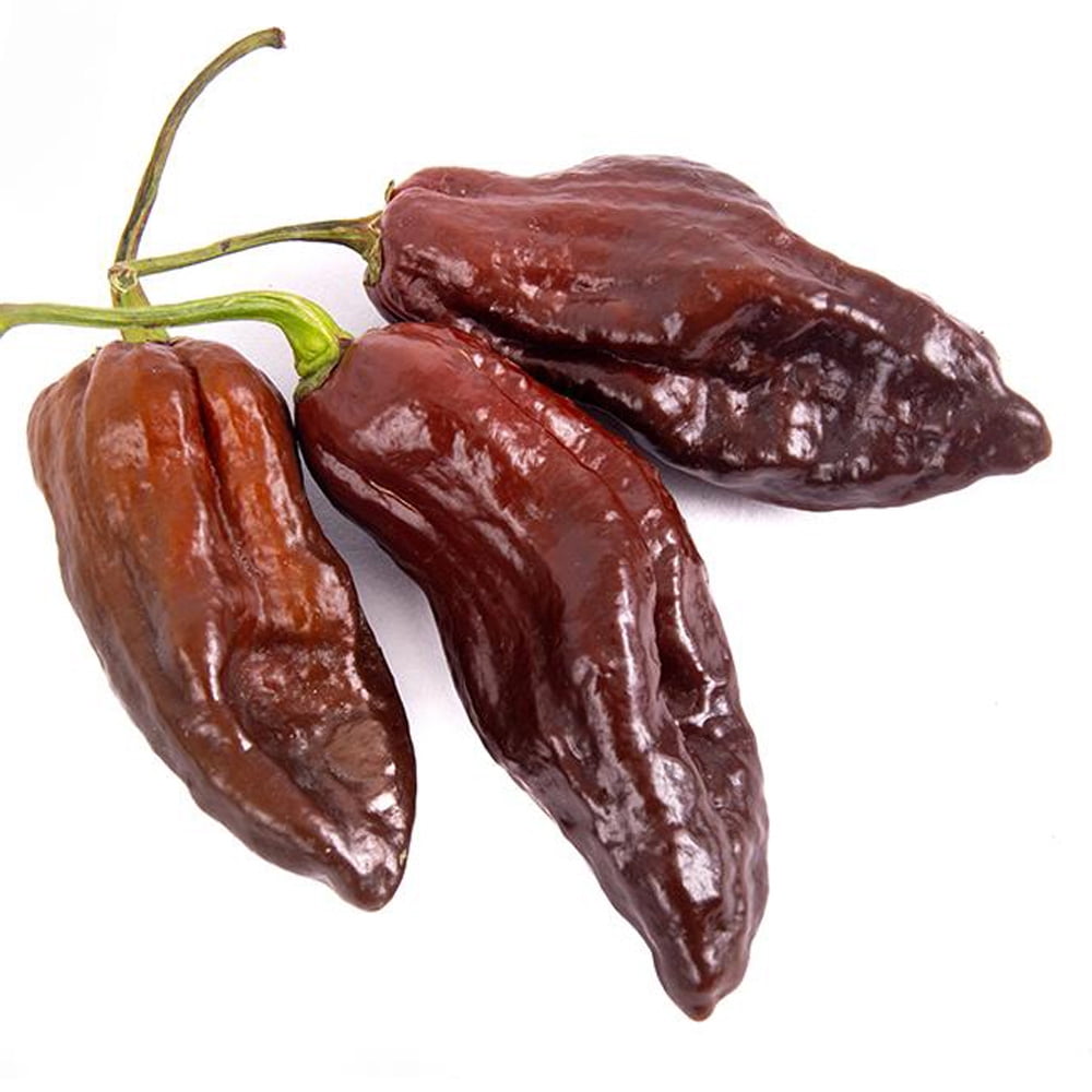 Chocolate (Brown) Ghost Pepper  / Bhut Jolokia Powder 1kg
