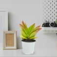 thumbnail image 3 of 60 Pcs Flowerpot Gardening Flowerpots Plastic Bonsai Mini Succulent Plant Simple, 3 of 7