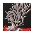 thumbnail image 3 of Coral Reef Reflection - Canvas, 3 of 25