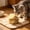 Yellow, variant on Pet Food Can Lids Reusable Silicone Airtight Seal Covers for Cats Dogs Wet Food, Leak Proof Freshness Preserver, Easy Open Can Topper for Refrigerated Storage, Stackable Food Sealer Yellow