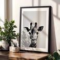 thumbnail image 4 of Baby Giraffe - Photography Animal Wildlife Black and White Minimalist Nature Portrait Surrealism Black Framed Wall Art Print 16 x 24 inches, 4 of 8