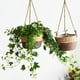 thumbnail image 3 of Cesta de pared tejida con paja - maceta de ratán de café - 19,69x7,87x5,12 pulgadas - Decoración para plantas y almacenamiento, 3 of 7
