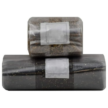 Mushroom Grow Kit (Quick Kit)