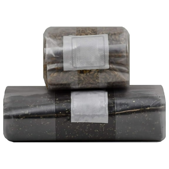 Mushroom Grow Kit (Quick Kit)