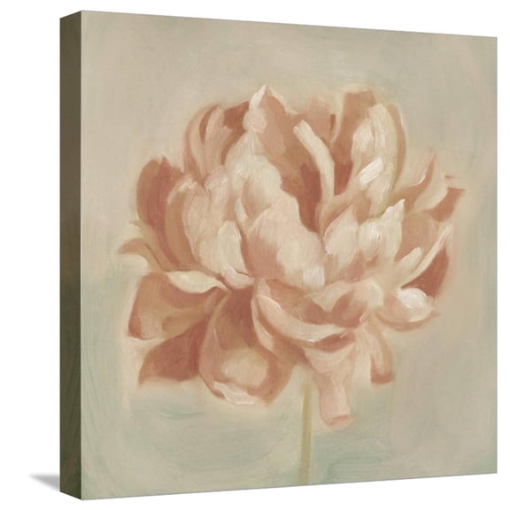 Art.com Spring Peony II Stretched Canvas Print Wall Art by Emma Scarvey, 16" x 16"