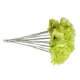 thumbnail image 3 of Flor de simulación de crisantemo artificial Oficina en casa Decoración floral falsa Adorno de boda, Verde, 10 piezas Inevent HA8120-08B, 3 of 6