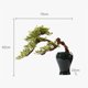 thumbnail image 2 of Bonsái artificial grande for interiores, decoración de bonsái tallada en raíz de madera con maceta de cerámica, adornos creativos de plantas falsas for el hogar y la oficina, 2 of 7