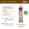 thumbnail image 4 of Rainforest Bowls Coconut Birdhouse with Ladder, 4 of 5