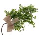 thumbnail image 1 of unbranded De Pared De Plantas Artificiales Para Hogar Con Y Resistente, 1 of 6