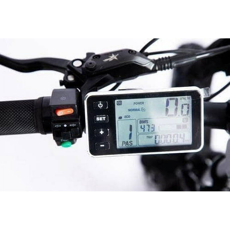 Life fitness rs1 recumbent bike with go console online rs1go